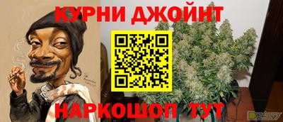 индика Заводоуковск