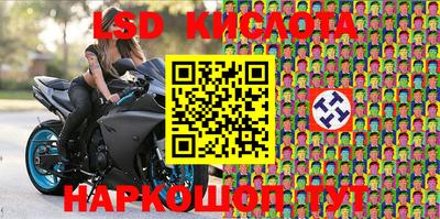 индика Заводоуковск