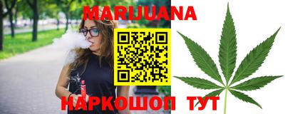 индика Заводоуковск