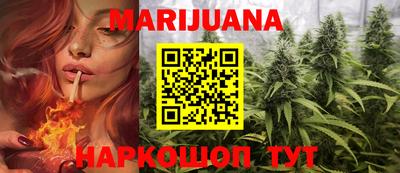 индика Заводоуковск