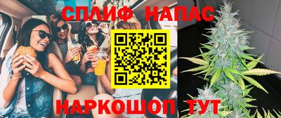 ECSTASY Заволжье